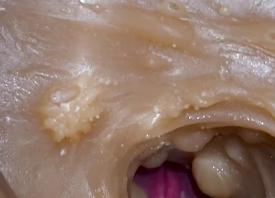 Camera Inside Deep Pussy Captures Cumshot