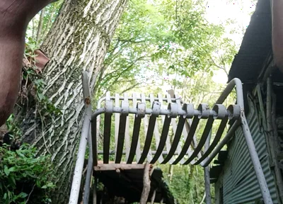 Outdoor Pee, Someone Can Enjoy It