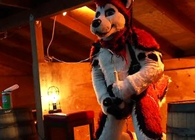 Husky Fursuiter Suspension Jerkoff