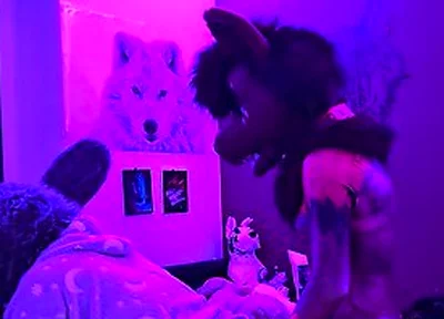 This Submissive Furry Bunny Slut Is Getting Pegged By A Furry Wolf So He Knows His Place