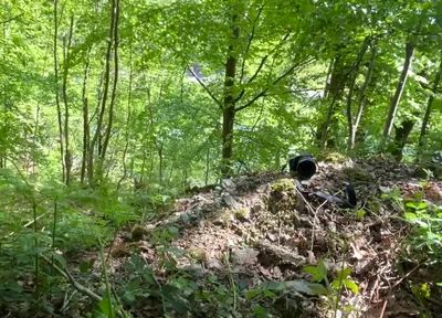 Connecting with Nature