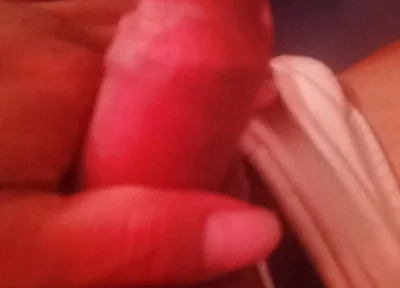 Penis