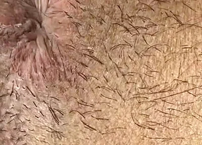 Do You Like My Ass?