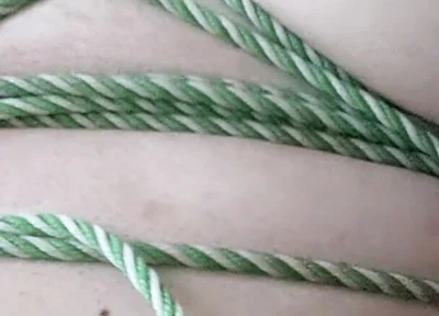 I Tried Tying It up