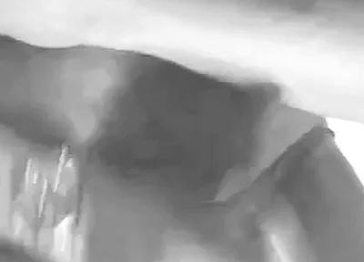Black & White Black Muscle Daddy Edging and Cum