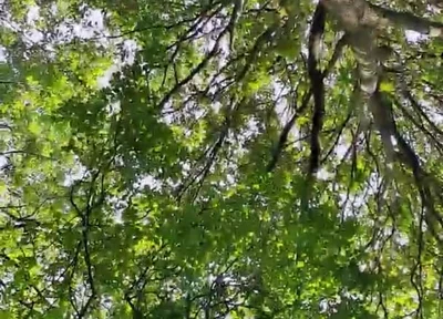 Slutboyben Cam4 Sexy Cruising Chick Iii Live Outdoor Exposure