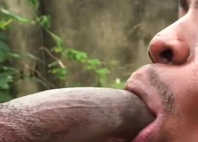 Sweet Cock Sucker