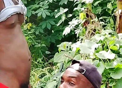 Big Cock Sucker