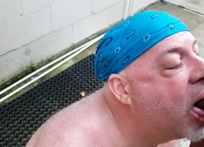 Bear Gets Pissed on by BBC