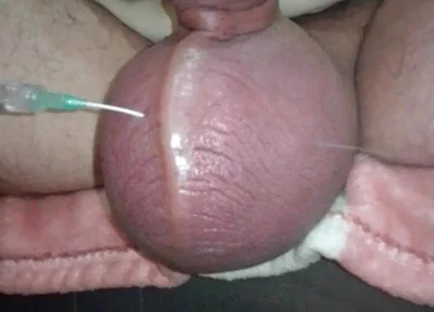 Giving My Grapefruit a Nice Feeding