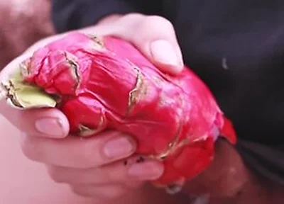 I Was So Horny I Fucked A Dragon Fruit