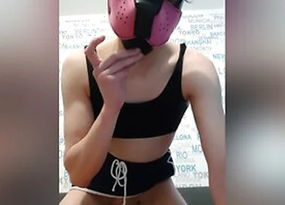 Cute Pup Cumming In His Cage