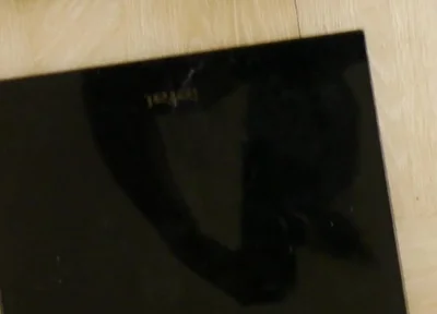 Weighing Your Black Fit Pony