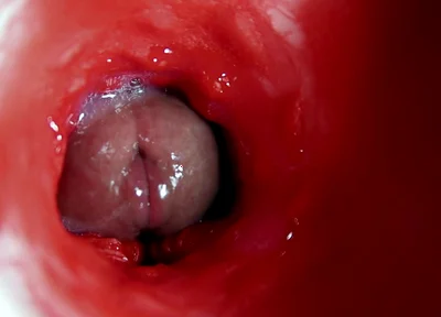 A Big Beautiful Cock Flows Abundantly Inside a Wet Slippery Hole and Smacks!