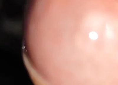 Waking up Excited and with My Cock Soaked in Precum.