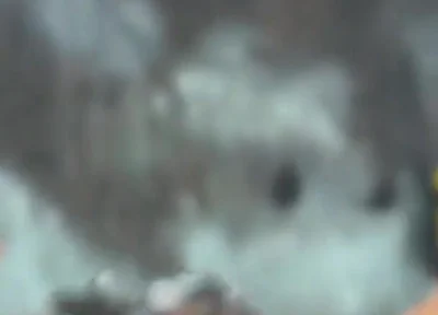 Gay Orgy at Rectumbcn