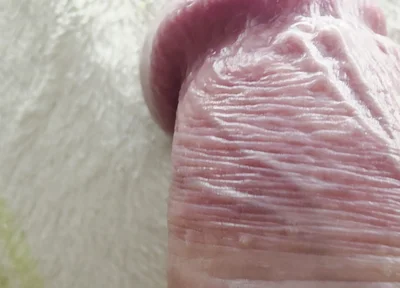 My Dick on Macro