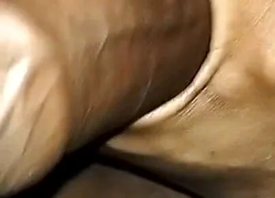 My Hard Cock
