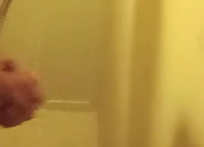Cleaned Cock