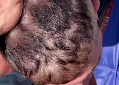 A Couple of Hot Guys Have Wild Sex on a Beach, Causing Vacationers to React Aggressively to Them