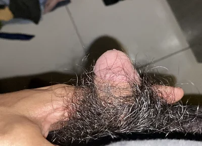 I Masturbate in the Afternoon