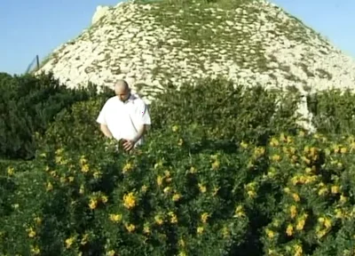 Twink Fucked Down by the Beach