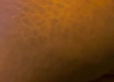 Big Black Ass
