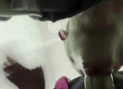 The Teacher's Thick Sucks in a Public Toilet. Slaps for a Student