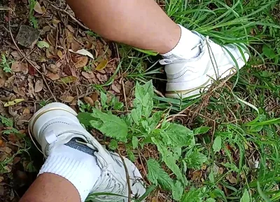 Compilation Pisses Urine by Master David