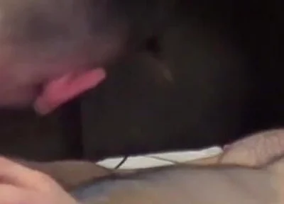 The seyx axel max fucked by Dani Bash