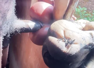 Fucking Sex Toys