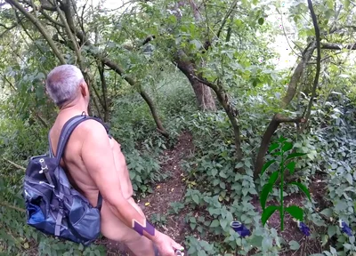 Part 2 Walk 42