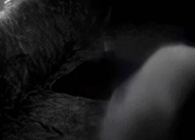Hump Masturbation Black and White with the First Real Webcam in 1996