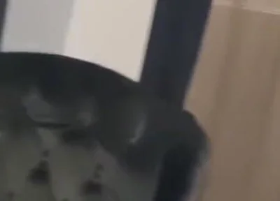 Blessed fucked raw by Casio