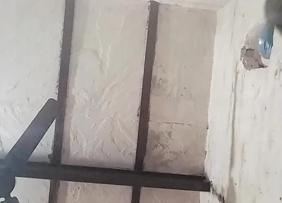Big Indian Cock
