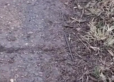 Fuck a Taxi Driver for a Free Ride, Big Cocks, Public Sex, and Lots of Cum!